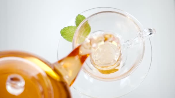 Mint tea with leaves directly above, white background — Stock Video