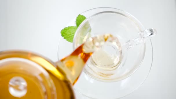 Mint tea with leaves directly above, white background — Stock Video