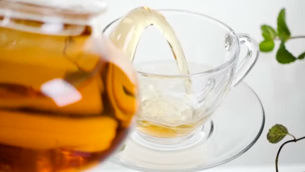 thé à la menthe avec des feuilles directement au-dessus, fond blanc 