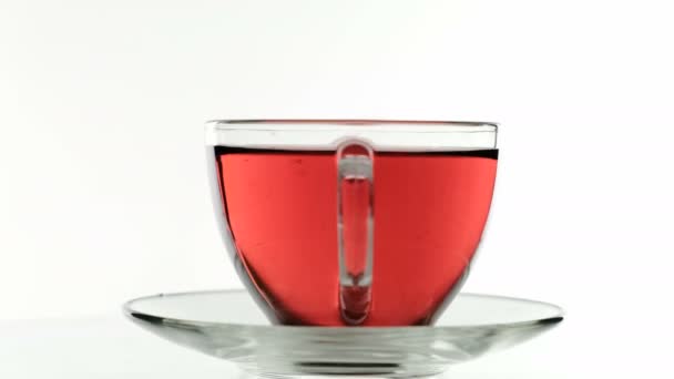 Faire du thé hibiscus, Gros plan verre d'une tasse de thé. Fond blanc — Video