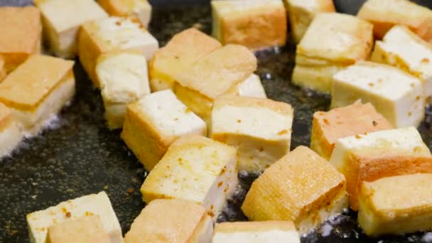 Fritar Tofu caseiro com pimenta vermelha vegetal — Vídeo de Stock