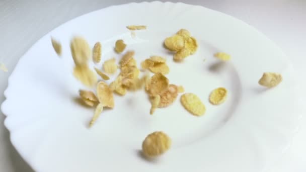 Медленное движение: кукурузные хлопья падают на белое блюдо вблизи — стоковое видео