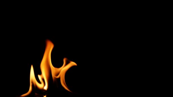 Detaljerade brand bakgrund, Slowmotion, sömlös loop — Stockvideo