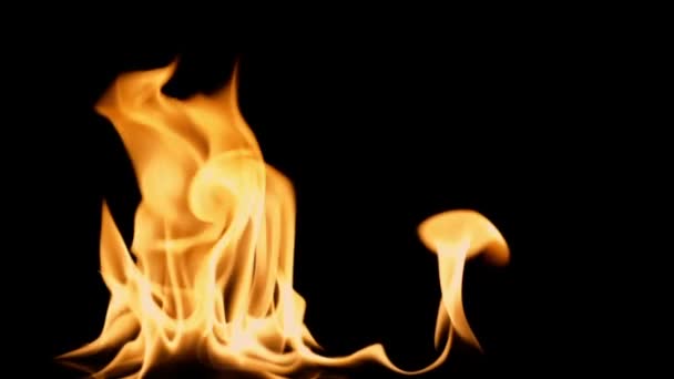 Yavaş hareket eden temiz ateş, tutuşan ve yanan. Siyah arka planda, gerçek alevlerden oluşan bir çizgi yanar. Gerçek çekim.. — Stok video