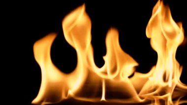 Yavaş hareket eden temiz ateş, tutuşan ve yanan. Siyah arka planda, gerçek alevlerden oluşan bir çizgi yanar. Gerçek çekim..