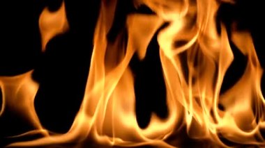 Yavaş hareket eden temiz ateş, tutuşan ve yanan. Siyah arka planda, gerçek alevlerden oluşan bir çizgi yanar. Gerçek çekim..