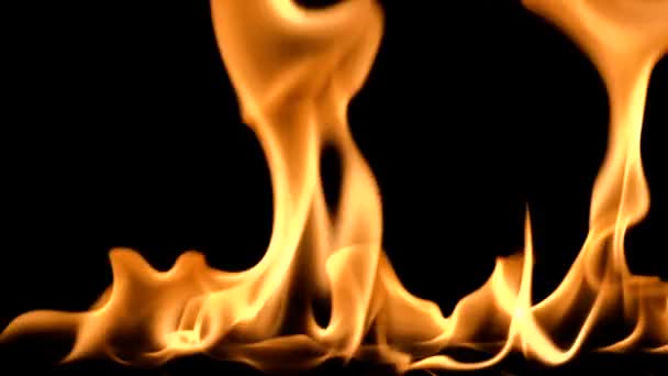 Tűz lángjai absztrakt, a fekete háttér. lassú mozgás — Stock videók