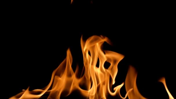Lento movimento di fuoco pulito, accensione e combustione. Su uno sfondo nero, viene accesa una linea di fiamme reali. Colpi reali. — Video Stock