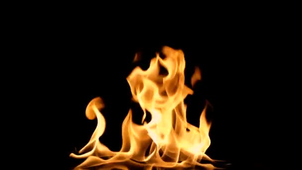 Inferno parede de fogo em câmera lenta com loop sem costura isolado — Vídeo de Stock