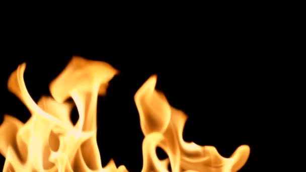 Részletes háttér tűz, lassú mozgás, varrat nélküli hurok — Stock videók