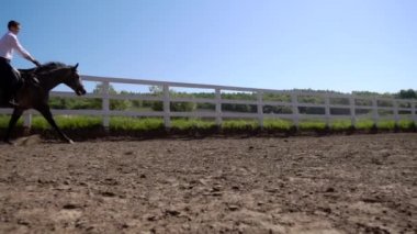 genç adam at çiftlik hayvanı arka planda mavi gökyüzü ile binmek. Ağır çekim