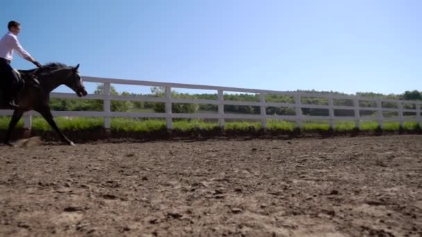 Młody człowiek jeździć konia Farma Zwierzęca z niebieski niebo w tle. Zwolnionym tempie — Wideo stockowe