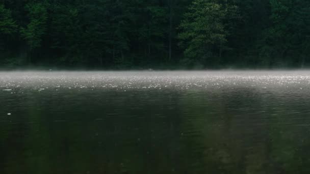 Köd a folyó felett egy nyári napon. Gyönyörű táj a víz hátterében fűvel. — Stock videók