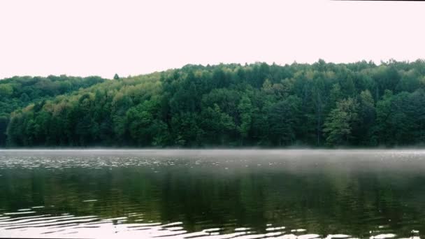 Niebla sobre el río en un día de verano por la mañana. Hermoso paisaje en el fondo del agua con hierba. — Vídeos de Stock