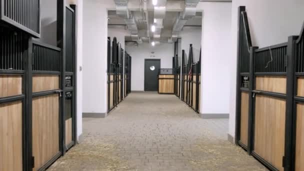 Écurie Cheval Sport Animalier Paddock Équestre Ranch Racing Stable 