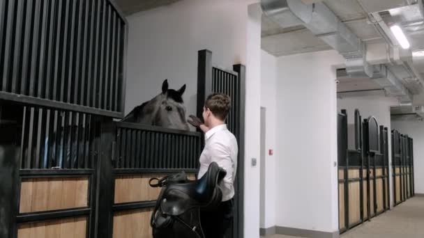 Cavaleiro equestre macho profissional sela cavalo para curativo em treinamento ou competição — Vídeo de Stock
