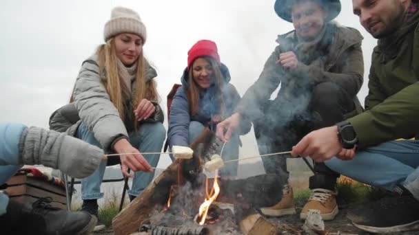 Group of happy friends around burning camping bonfire in woods roasting marshmallows talking and smiling. Hikers sitting around camp fire. Outdoor picnic in forest. — ストック動画