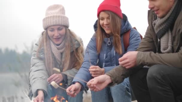 Group of happy friends around burning camping bonfire in woods roasting marshmallows talking and smiling. Hikers sitting around camp fire. Outdoor picnic in forest. — ストック動画