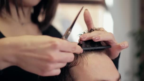 Fryzjer obcina włosy klienta nożyczkami z bliska. Wrobić. Fryzjer czesanie włosów i cięcia nożyczkami fryzjerskimi. — Wideo stockowe