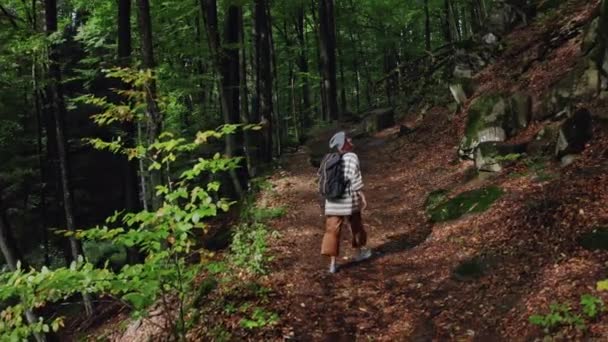 Aktif sağlıklı hippi kız ormanda yürüyüş yapıyor. Havadan — Stok video