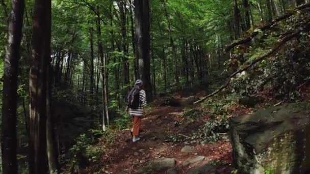 Active healthy hipster girl hiking in forest. Aerial — Stock Video