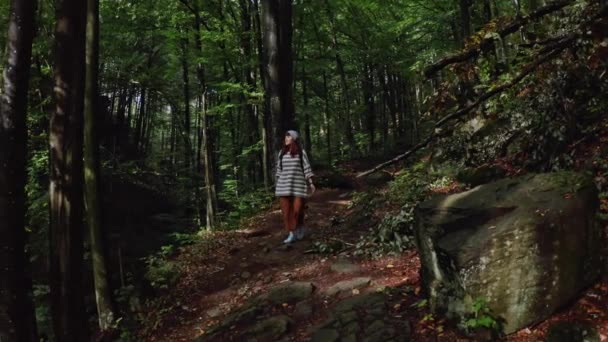 Aktives gesundes Hipster-Mädchen beim Wandern im Wald. Antenne — Stockvideo