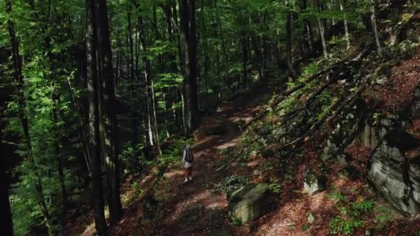 Aktives gesundes Hipster-Mädchen beim Wandern im Wald. Antenne — Stockvideo