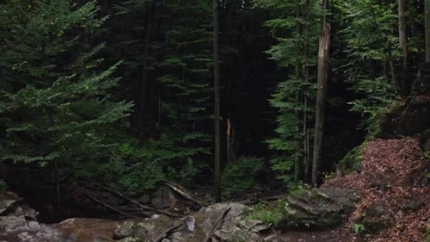 Turista cabeça vermelha com uma mochila, fica à beira de um penhasco de uma cachoeira contra uma floresta nebulosa. vista aérea — Vídeo de Stock