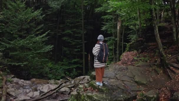 Eine Touristin mit rotem Kopf und Rucksack steht am Rande einer Felswand eines Wasserfalls vor einem nebligen Wald. Luftbild — Stockvideo