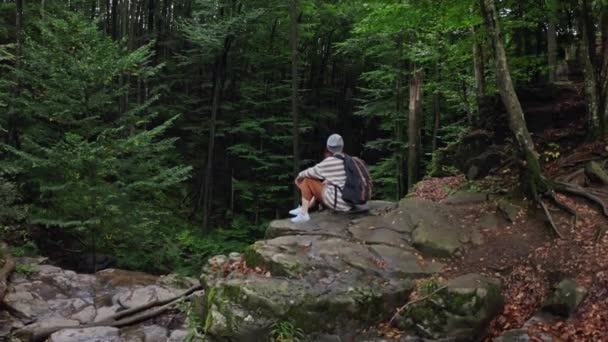 Tiuristin auf Bergtour hoch oben auf der Klippe mit Blick auf die weit entfernten schönen Wälder der Landschaft. Meditation im Wald. Antenne — Stockvideo