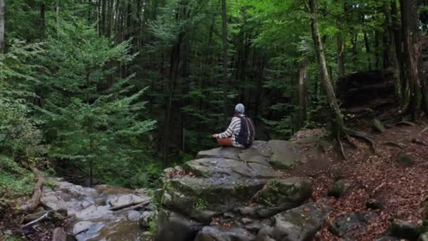 Tiuristin auf Bergtour hoch oben auf der Klippe mit Blick auf die weit entfernten schönen Wälder der Landschaft. Meditation im Wald. Antenne — Stockvideo