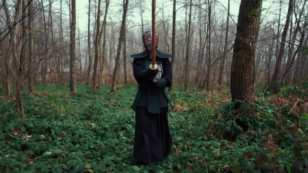 Geconcentreerd man met een Japanse zwaard, een katana beoefenen van Iaido in een dennenbos. Groothoek. Achteraanzicht. — Stockvideo
