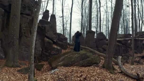 Concentrated man with a Japanese sword, a katana practicing Iaido in a pine forest — 图库视频影像