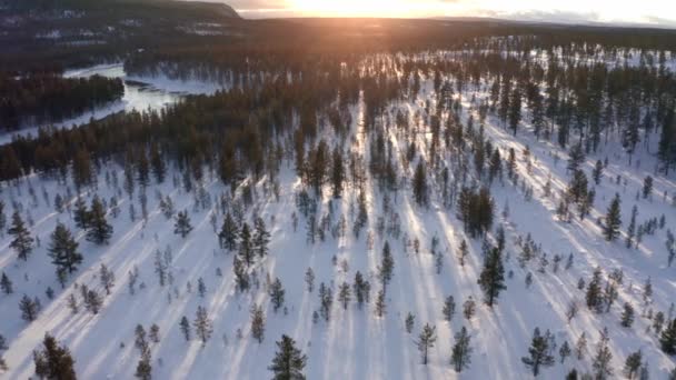 Повітряний скандинавський зимовий пейзажний політ над сніговим гірським лісом на заході сонця — стокове відео