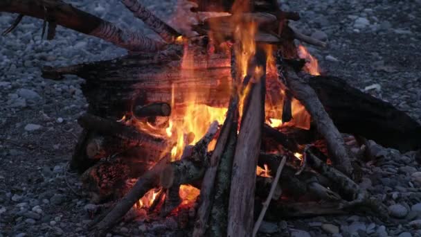 Oheň hoří stromy v noci. Táborák hoří jasně, teplo, světlo, táboření, velký táborák, zblízka táborák plameny tábořiště oheň, hořící dřevo, oranžový oheň plamen a kouř — Stock video