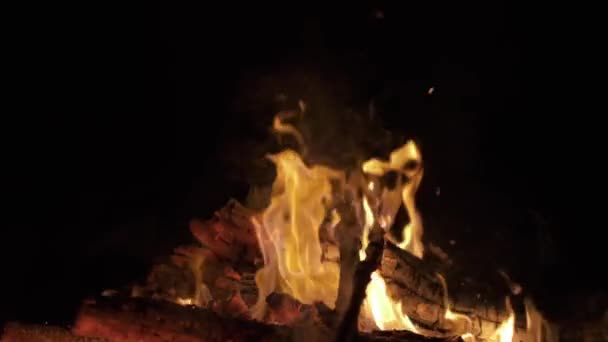 Falò che brucia alberi di notte. Falò che brucia luminosamente, calore, luce, campeggio, grande falò, falò da vicino fiamme di fuoco da campeggio, legna da ardere, fuoco arancione fiamma e fumo. Rallentatore — Video Stock