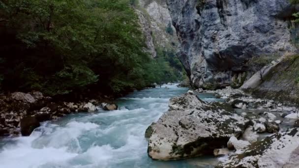 Wild Mountain River zamknąć obfite Clear Stream. Szczegóły Static Shot of Bebling Creek z Stone Boulders Flowing. Rock Rapid w szybkim rozprysku wody. — Wideo stockowe