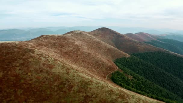 4k Aerial View Drone Görüntüsü: Tatil kampı olan yeşil çayır üzerinde uçuş. Arka planda orman ve dağ sıraları var. Gün batımı yumuşak ışık. Karpat Dağları, Ukrayna — Stok video