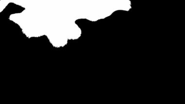 Çiçek mürekkebi. Güzel beyaz suluboya mürekkep siyah arkaplana geçiş yapıyor