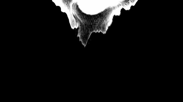 Μελάνι Μπλουμ. Όμορφη λευκή μελάνη νερομπογιάς πέφτει μετάβαση σε μαύρο φόντο — Αρχείο Βίντεο