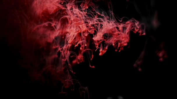 Червоне чорнило бризкає у воді на чорному тлі — стокове відео