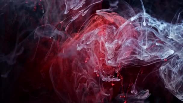 Stylish abstract modern background. Colored space background. Blue, white and red watercolor ink in water on a black background. Cool trending screensaver. — Stock Video