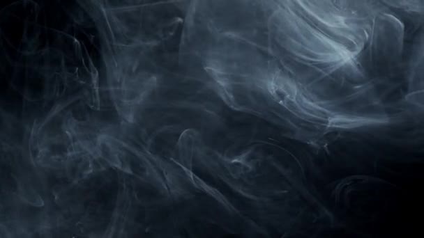 Fumo, esplosione di vapore astratto bianco e nero — Video Stock