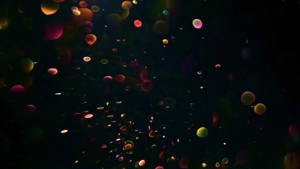 Staubpartikel, zufällige Bewegung von Teilchen.on schönen entspannenden Hintergrund. Glitzerteilchen mit Bokeh im volumetrischen Licht — Stockvideo