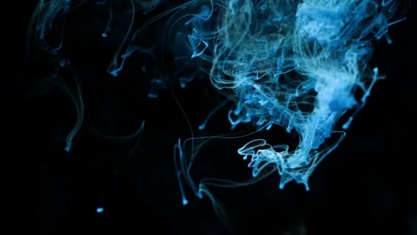 Füst elvont. Felhő. Fekete háttér kék fényben. Füsthatás. — Stock videók