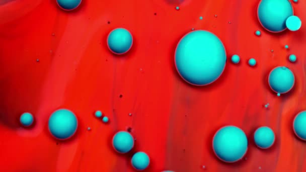 Červená modrá abstraktní malovaná textura. Mnohobarevná akrylová barva. — Stock video