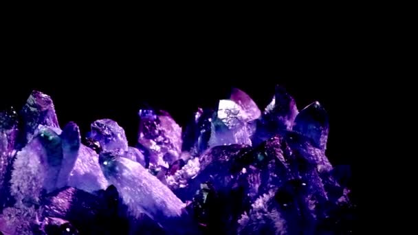 Incredibile colorato quarzo viola cluster di cristallo isolato su sfondo nero, Angel aura minerale. Macro di bella pietra minerale grezza — Video Stock