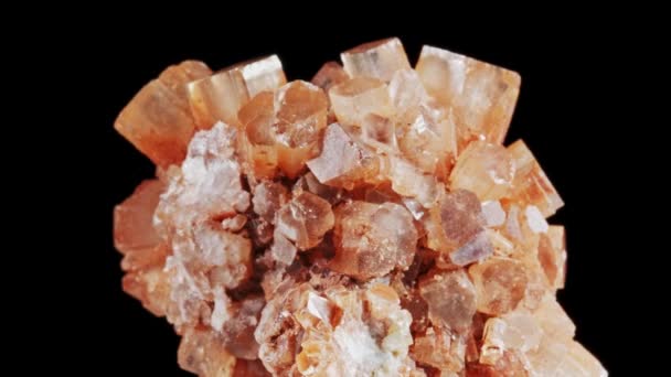 Bezproblémově rotující krvavě oranžový minerál Aragonite před černým pozadím — Stock video