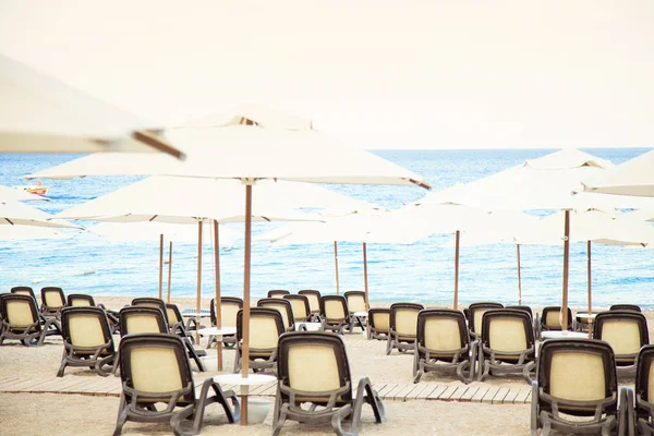 Plajda şemsiye ile tahta yataklar 