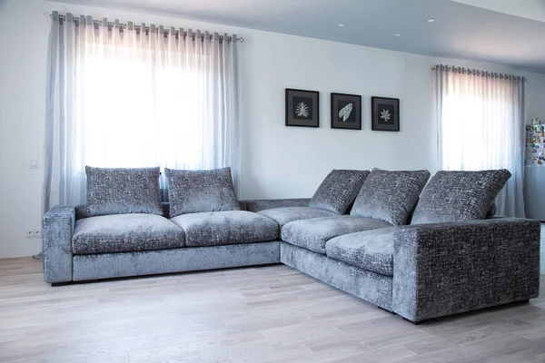 Living room interior in gray and white colors features gray sofa
